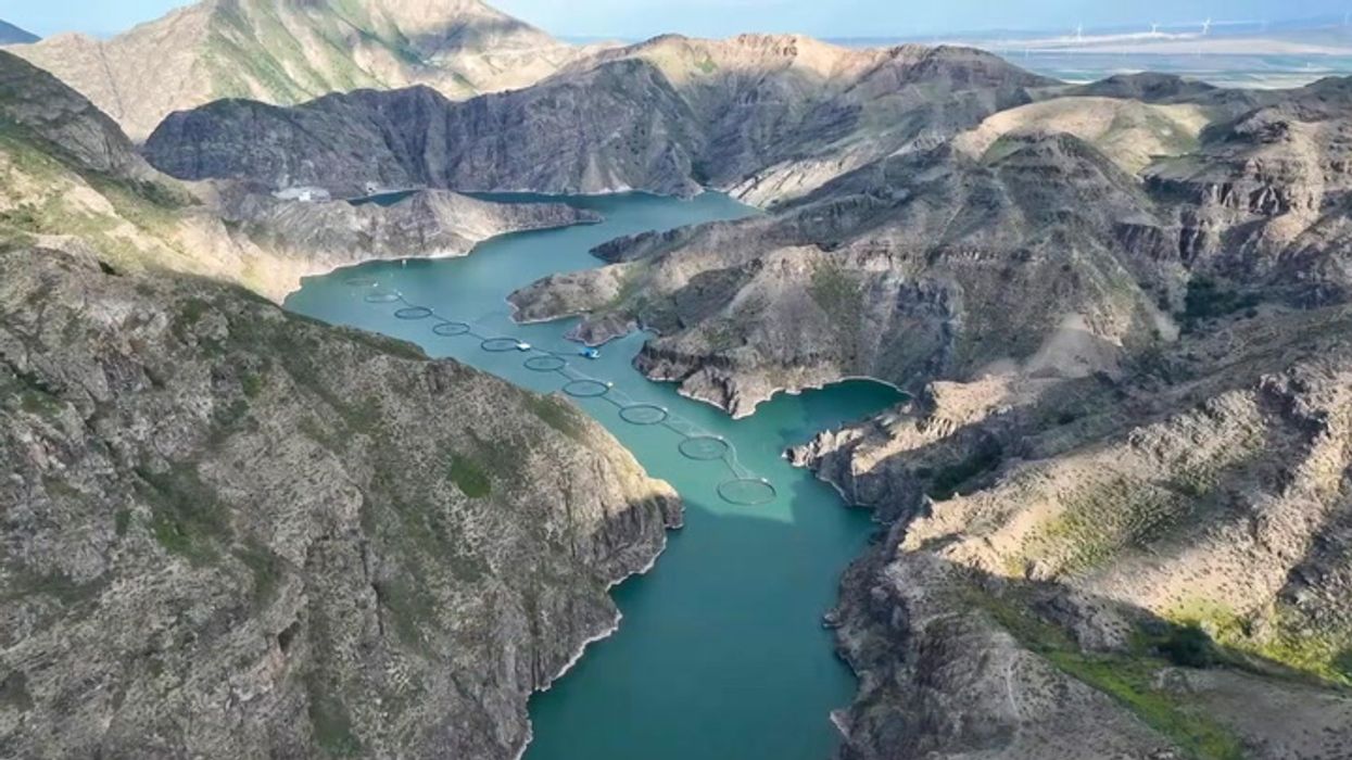 China Wants to Sell The World on Xinjiang-Farmed Fish
